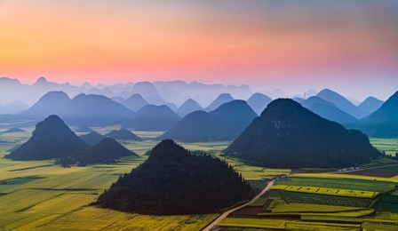 yellow rapeseed (canola) flower field in spring, luoping, china