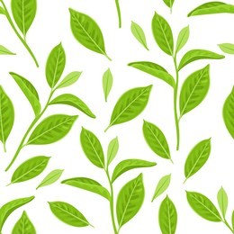 seamless pattern with green tea leaves on white background. vector illustration of a plant in a simple flat cartoon style.