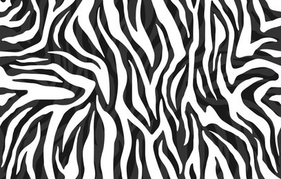 zebra skin, stripes pattern. animal print, black and white detailed and realistic texture. monochrome seamless background. vector illustration 