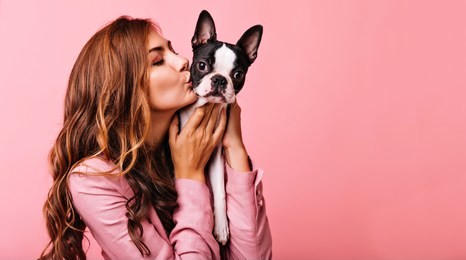 lovely female model kissing funny bulldog puppy. indoor portrait of refined dark-haired girl posing on pink background with dog.
