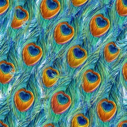 peacock feather seamless pattern. 