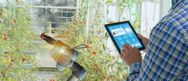 iot smart industry robot 4.0 agriculture concept,industrial agronomist,farmer using software artificial intelligence technology in tablet to monitoring condition and control automatic robotics in farm