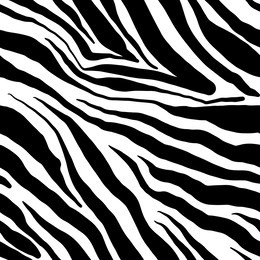 vector zebra seamless pattern. black and white beautiful texture. perfectly for wrapping paper, bed linen, textile, fabric, cover, wallpaper, fashion, kids clothing, bags prints. 