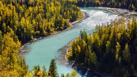 sunny day at yue liang wan or crescent moon lake in september autumn season, kanas nature reserve, xinjiang, china