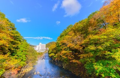 landscape of autumn maple forest in jozankei onsen, the most popular tourist attraction to hokkaido. japan