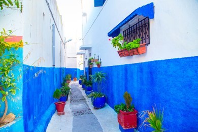 famous blue and white streets of kasbah of the udayas in rabat. the capital of morocco has unesco world heritage status and very famous among tourists