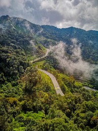 green tropical forest with a highway road in the middle, located at genting highland malaysia
