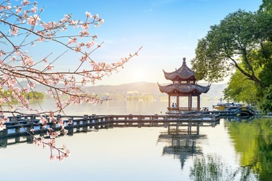 a blooming tree，beautiful architectural landscape and landscape in west lake, hangzhou