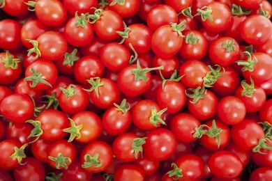 group of fresh tomatoes