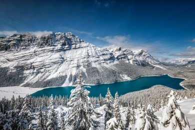 peyto lake with reflection at banff national park, canada.