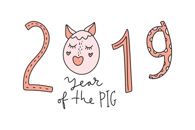 postcard for new year 2019 with cute pig face. symbol in the chinese calendar. cartoon doodle style . isolated vector illustration.