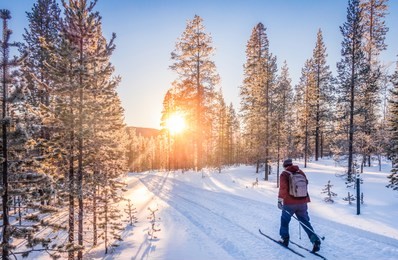 panoramic view of man cross-country skiing on a track in beautiful winter wonderland scenery in scandinavia with scenic evening light at sunset in winter, northern europe