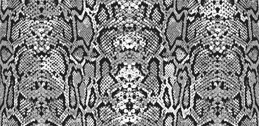 snake skin pattern and repeating seamless. animal print and textile design. monochrome black and white, vector illustration. texture snake. fashionable print. 
