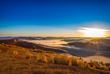 autumn grazing scenery on bashang grassland in wulanbutong