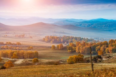 autumn grazing scenery on bashang grassland in wulanbutong