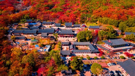 aerial view of beomeosa temple in busan south korea.image consists of temple located between the mountain covered with colorful trees