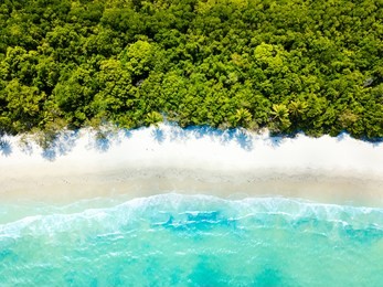 cape tribulation beach aerial photo