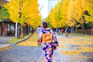 beautiful girl wearing japanese traditional kimono in autumn. autumn park in sapporo, japan. the colorful kimono and the colorful leaves makes this scene so beautiful.