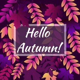 autumn banner with the inscription hello autumn leaf background of seamless texture of colorful autumn leave vector illustration. nature autumnal fall template.