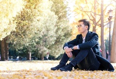 the handsome asian man smiles in the park in autumn.