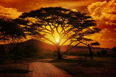 africa sunset