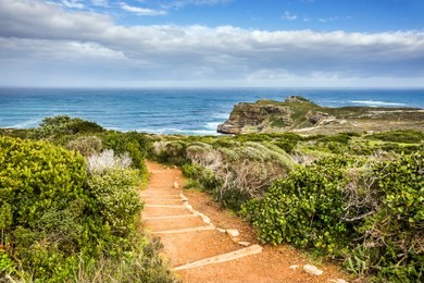 a route from cape point to cape of good hope in sunny day. western cape province, south africa.
