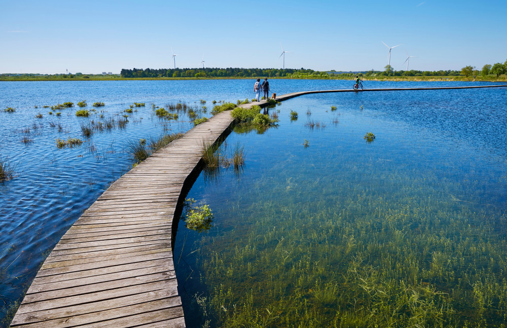 山东荣成桑沟湾湿地公园
