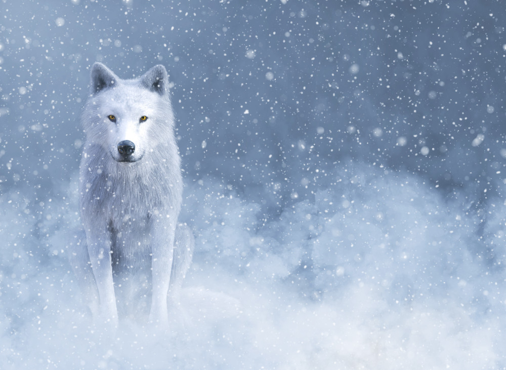 3d rendering of a majestic white wolf sitting down surrounded by magical snow.