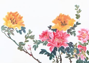 peony flower,traditional chinese ink and wash painting.