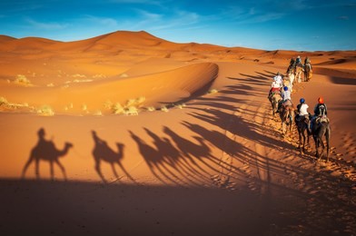 camels trekking guided tours in merzouga morocco sahara desert
