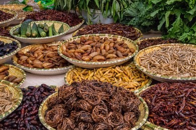 trays of fried insects, larvae, grubs, and worms. sampling of local dai ethnic minority food in southern china. example of exotic cuisine (kunming, yunnan province, china).
