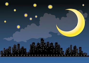 the urban silhouette on the background of night