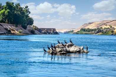 the nile is the longest river in the world. it flows all through egypt, from south to north. the nile river was very important to life in ancient egypt. 
