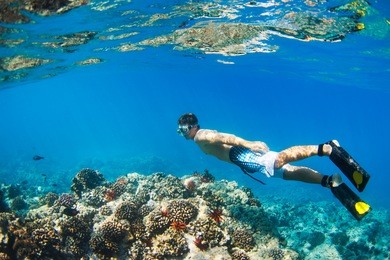 young man snorkeling underwater over tropical reef in hawaii