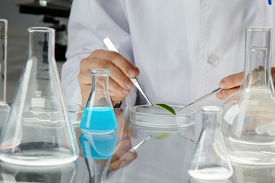 hands of clinician holding steel tools during scientific experiment in laboratory