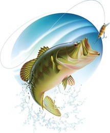 largemouth bass is catching a bait and jumping in water spray. layered vector illustration.