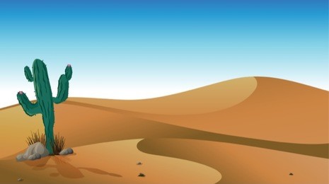 illustration of a cactus in the desert