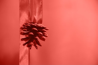 christmas and new year composition with living coral tape and strobile for background