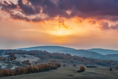 autumn grazing scenery on bashang grassland in wulanbutong