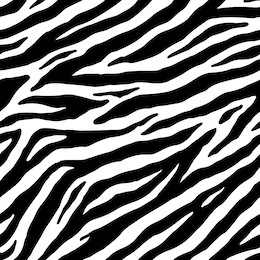 zebra seamless pattern. vector skin print background