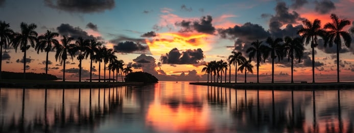 panoramic palm tree island sunrise with dramatic clouds and vibrant sky over atlantic ocean in miami florida usa
