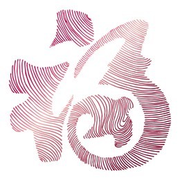 chinese new year good fortune happiness auspicious character