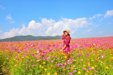 asian girl wearing red dress wearing a cheerful hat standing in a colorful cosmos field with sky and white clouds, chiang rai, thailand