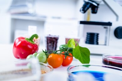 chemical laboratory of the food supply . food in laboratory, dna modify .gmo genetically modified food in lab 