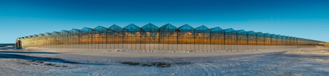 beautiful and large-scale greenhouses. beautiful and large-scale greenhouses in nature in the landscape in the evening or in the morning against the blue sky with the sun.