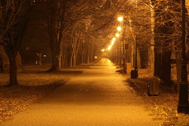 night city alley in autumn