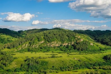landscape of saihanba national forest park, which is a national forest park located in weichang manchu and mongol autonomous county, chengde, hebei, china