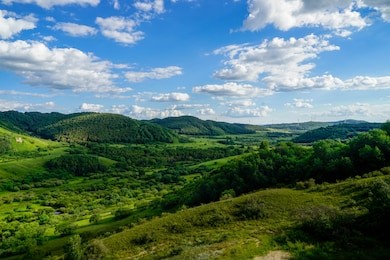 landscape of saihanba national forest park, which is a national forest park located in weichang manchu and mongol autonomous county, chengde, hebei, china