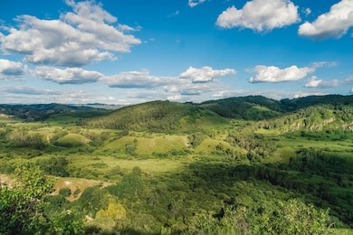 landscape of saihanba national forest park, which is a national forest park located in weichang manchu and mongol autonomous county, chengde, hebei, china
