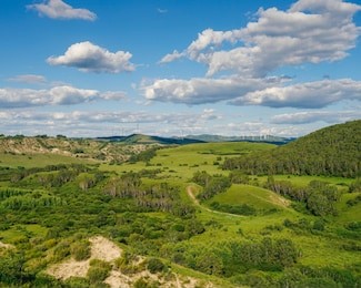 landscape of saihanba national forest park, which is a national forest park located in weichang manchu and mongol autonomous county, chengde, hebei, china